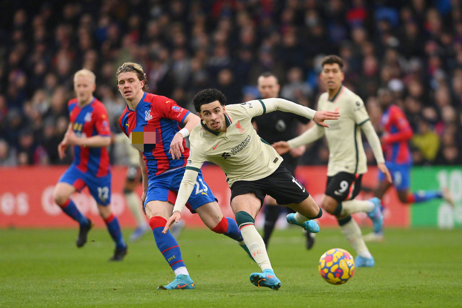 展奠定了良 展奠定了良